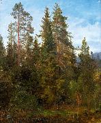 Anders Askevold Skogsstudie fra Eide Spain oil painting artist